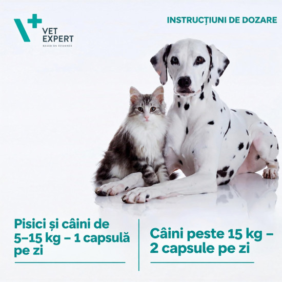 Tridigest Vet Expert – Supliment pentru Susținerea Sistemului Digestiv la Câini și Pisici – 40 Tablete